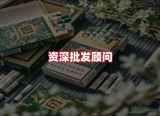 专业团队